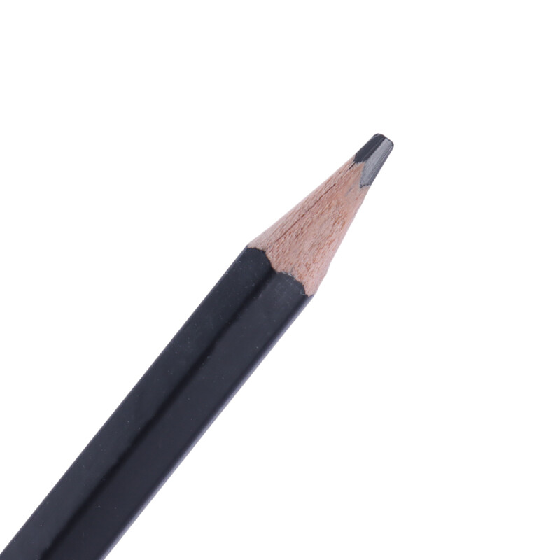 مداد طراحی پانی Pani P-12 8B