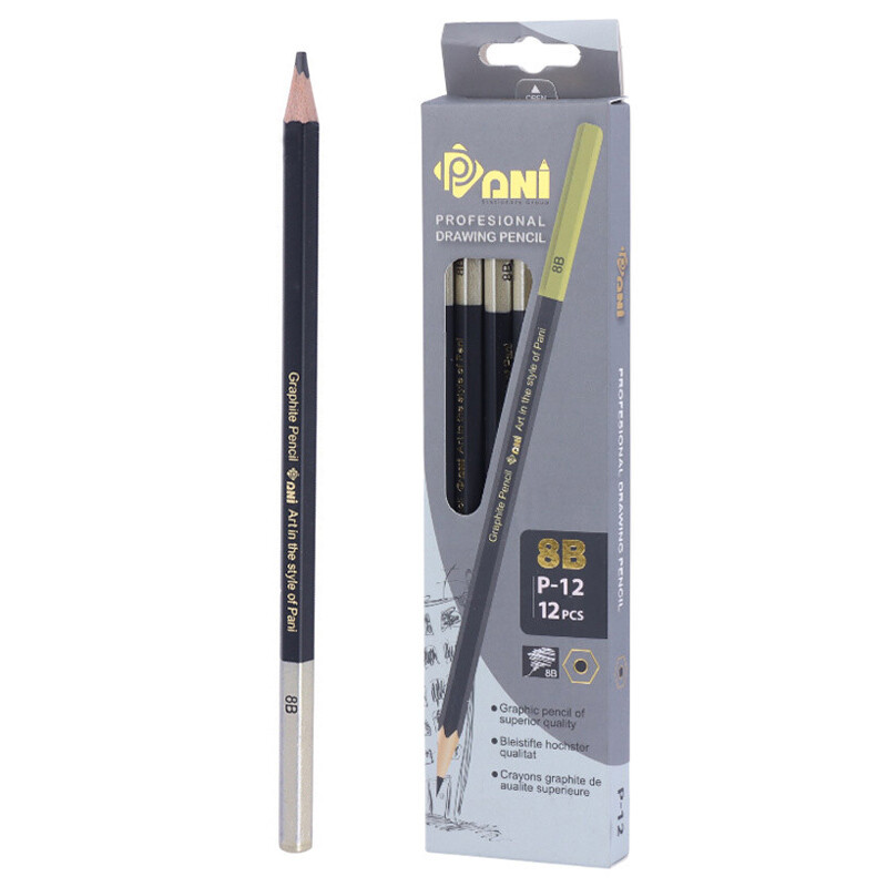 مداد طراحی پانی Pani P-12 8B