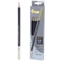 مداد طراحی پانی Pani P-09 2B