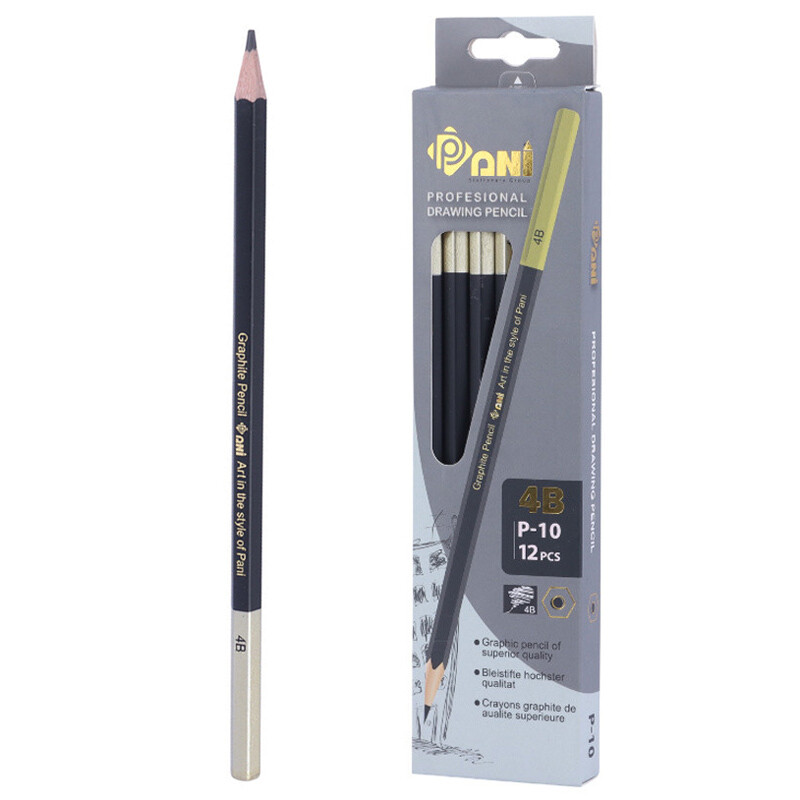 مداد طراحی پانی Pani P-10 4B