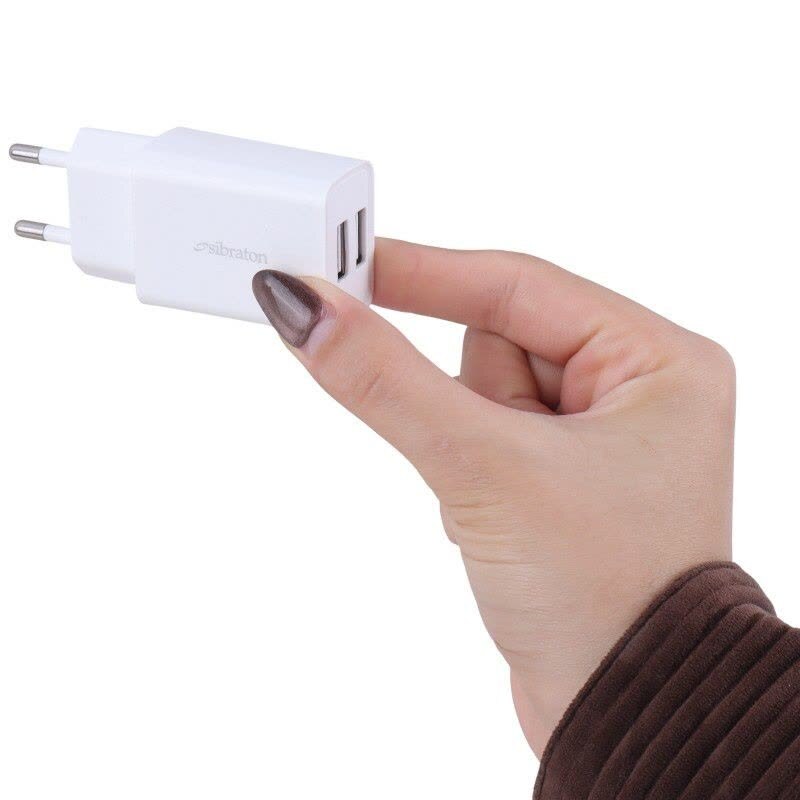 شارژر دیواری 10 وات سیبراتون S-W1245A 2A + کابل میکرو یو اس بی