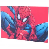 تابلو شاسی 20*30 Spider-Man کد 9