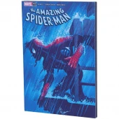 تابلو شاسی 13*18 Spider-Man The Amazing