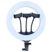 رینگ لایت 14 اینچ جی ماری FM-14R