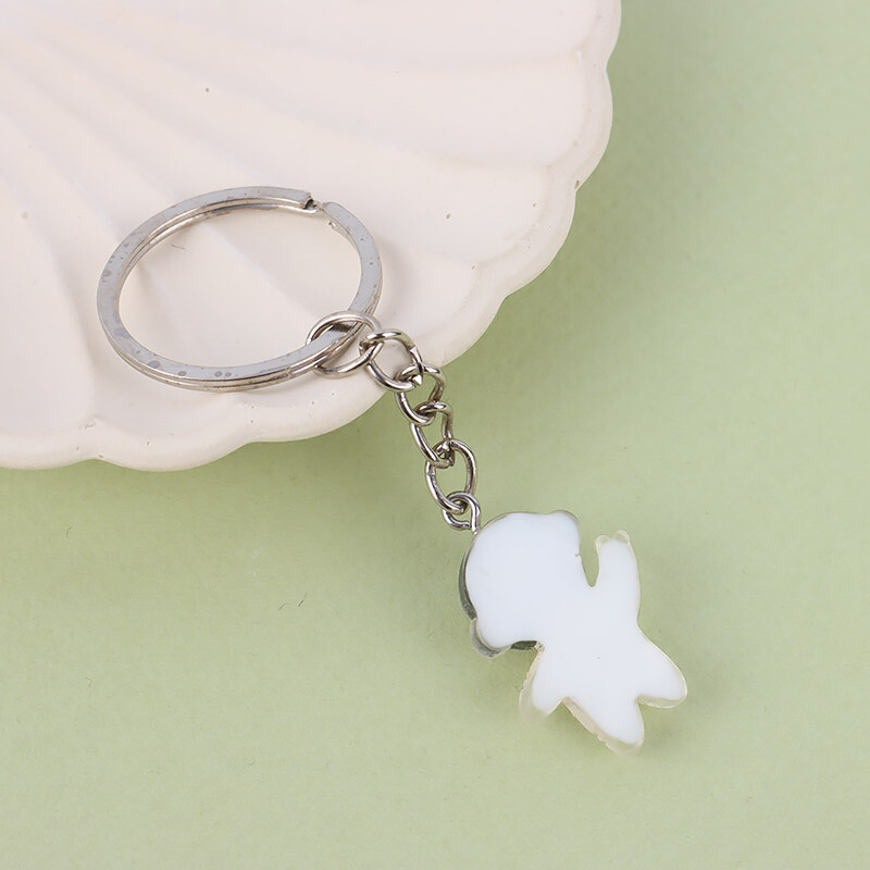 جاکلیدی سرامیکی فضانورد