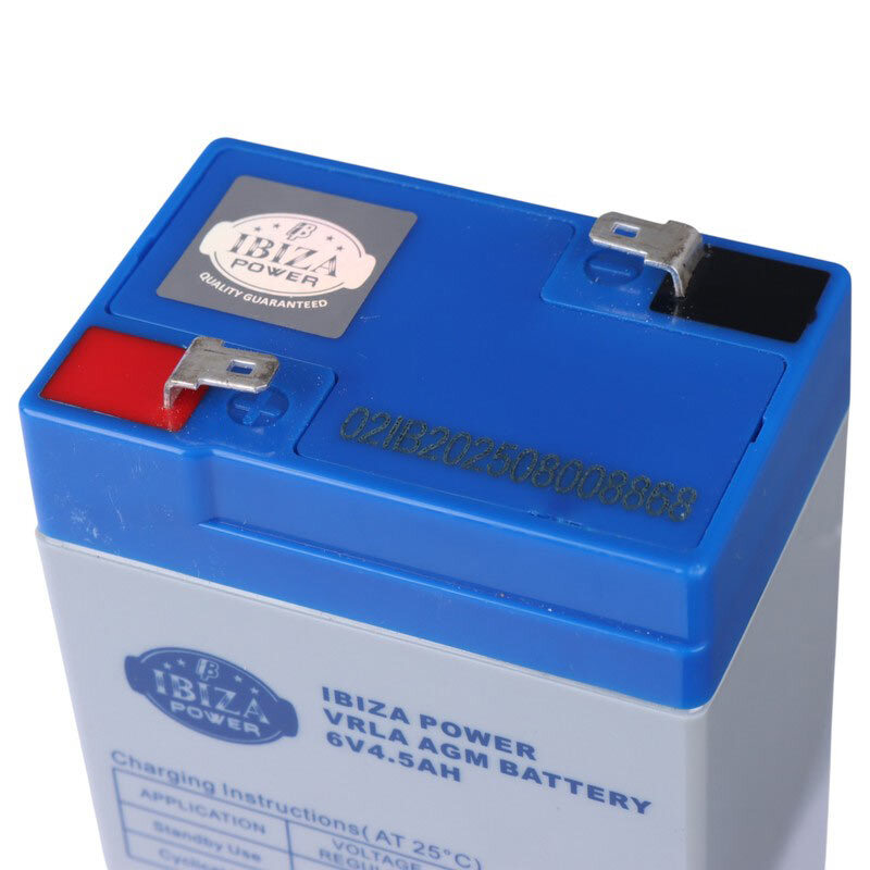 باتری 6 ولت 4500 میلی آمپر ایبیزا