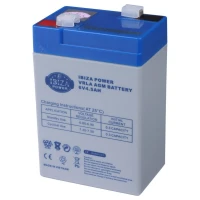 باتری 6 ولت 4500 میلی آمپر ایبیزا