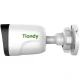 دوربین مداربسته تحت شبکه تیاندی 2 مگاپیکسل TC-C321N I3/E/Y/2.8mm