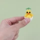 رو داشبوردی طرح جوجه