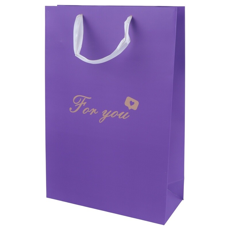 ساک دستی مقوایی کد 9538