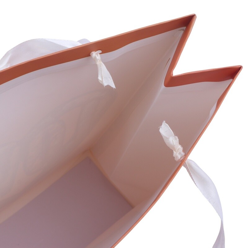 ساک دستی مقوایی کد 9540