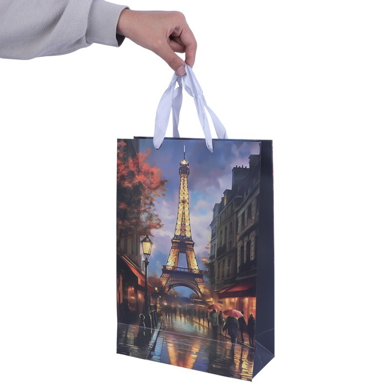 ساک دستی مقوایی کد 94023