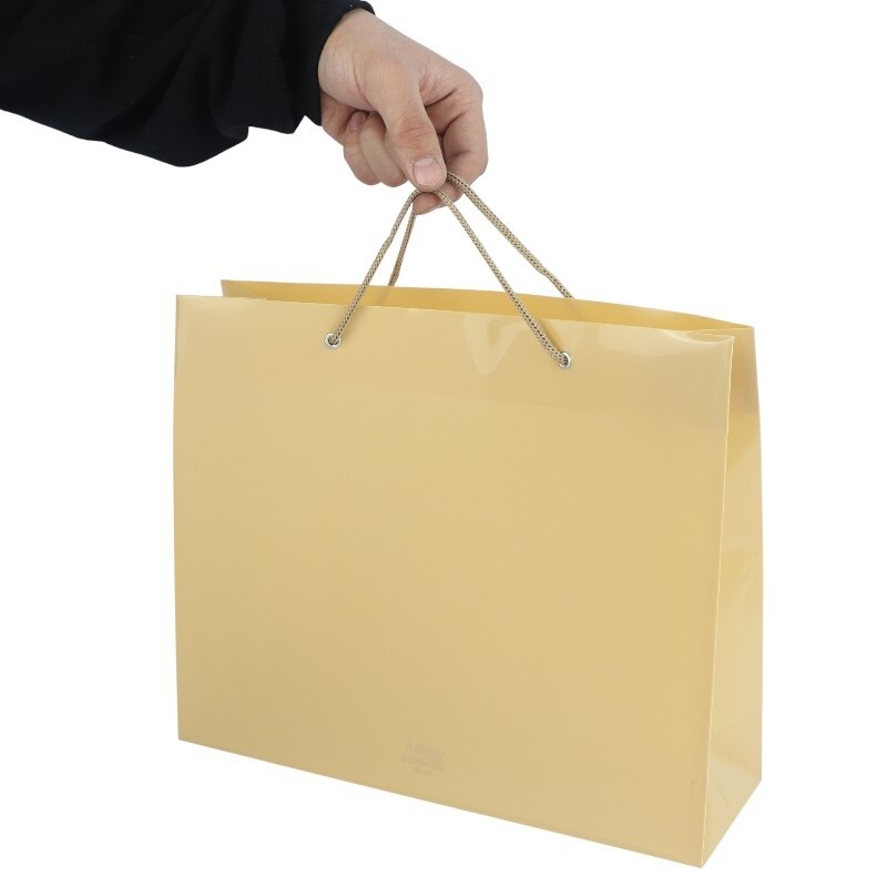 ساک دستی پلاستیکی پاپکو CX-001