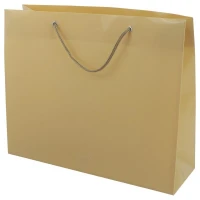 ساک دستی پلاستیکی پاپکو CX-001