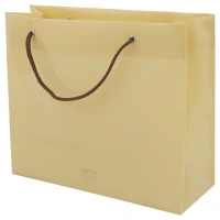 ساک دستی پلاستیکی پاپکو CX-003