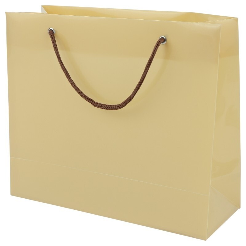 ساک دستی پلاستیکی پاپکو CX-003