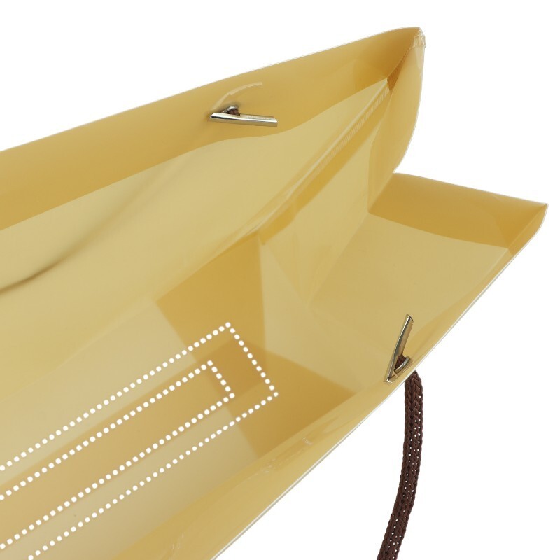 ساک دستی پلاستیکی پاپکو CX-003