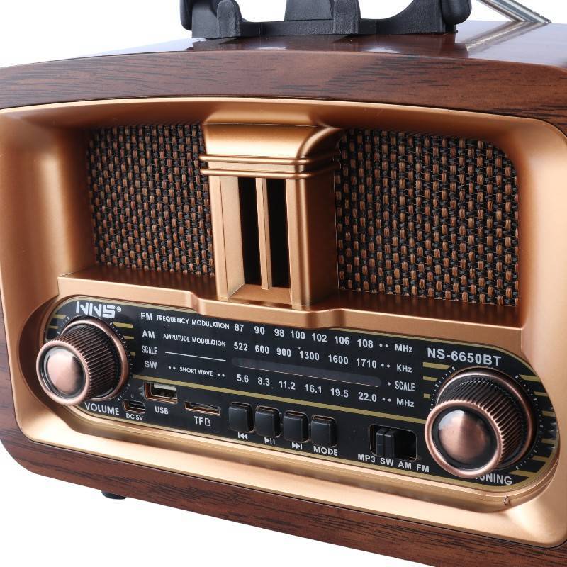 رادیو اسپیکر بلوتوثی ان ان اس NS-6650BT