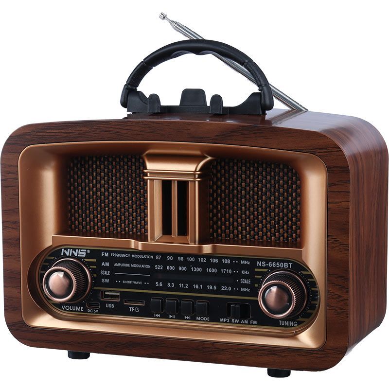 رادیو اسپیکر بلوتوثی ان ان اس NS-6650BT