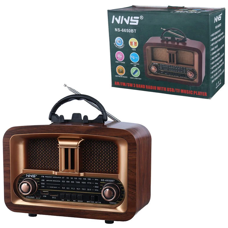 رادیو اسپیکر بلوتوثی ان ان اس NS-6650BT