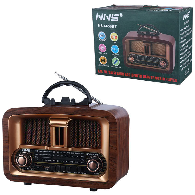 رادیو اسپیکر بلوتوثی ان ان اس NS-6650BT