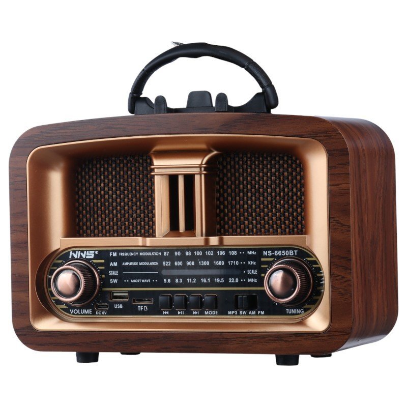 رادیو اسپیکر بلوتوثی ان ان اس NS-6650BT