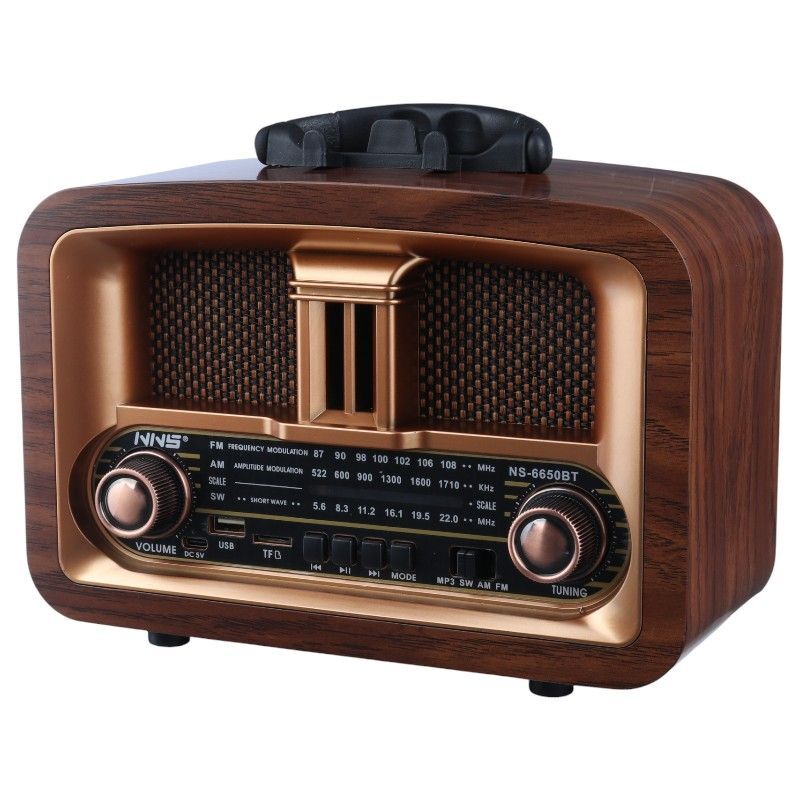 رادیو اسپیکر بلوتوثی ان ان اس NS-6650BT
