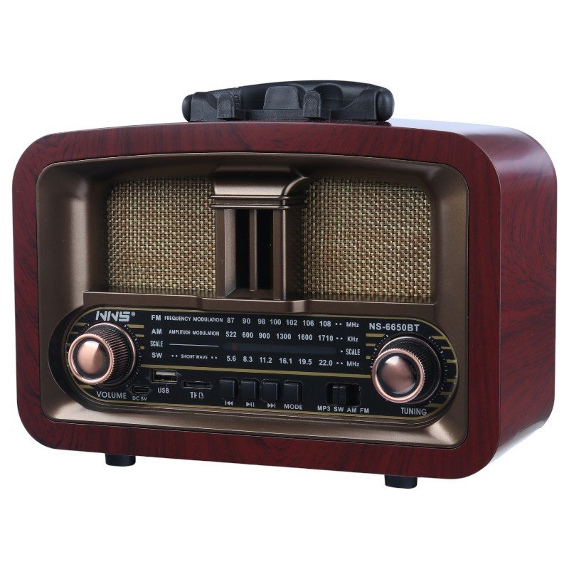 رادیو اسپیکر بلوتوثی ان ان اس NS-6650BT