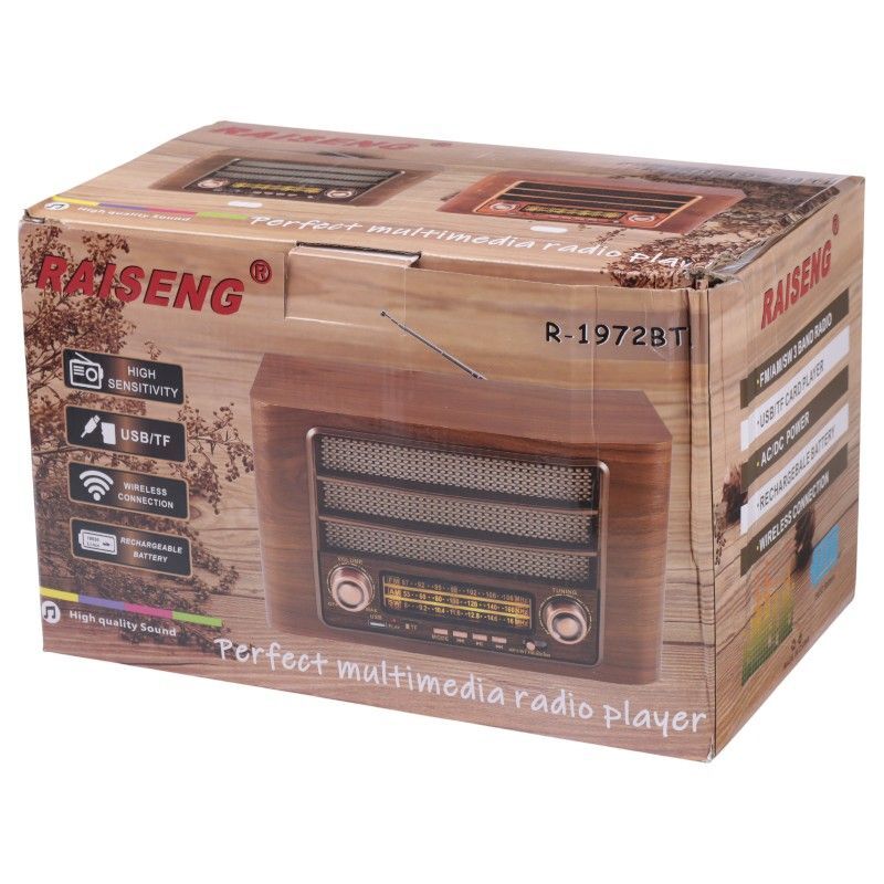 رادیو اسپیکر بلوتوثی رایسنگ R-1972BTL