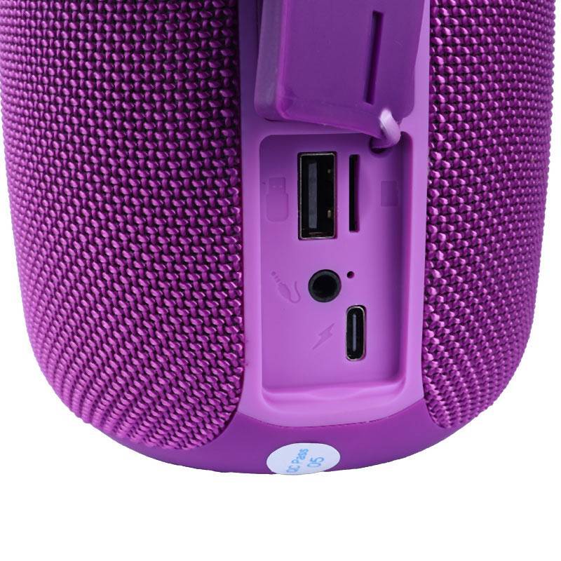 اسپیکر بلوتوثی تی اند جی TG655