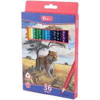 مداد رنگی 36 رنگ تیزو TCP-36