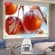 ویدئو پروژکتور ایکس او XO-FF03
