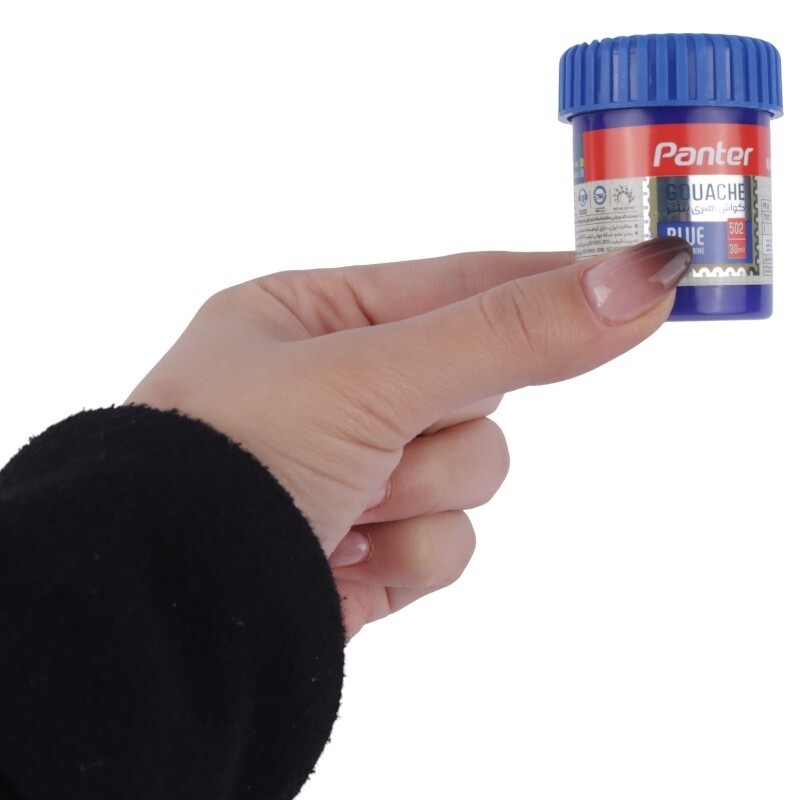 گواش 6 رنگ پنتر Panter Thinker IGP 714-6