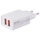 شارژر دیواری 10.5 وات دنمن DC02 2.1A