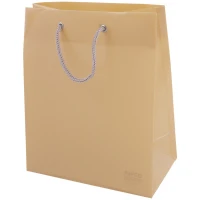 ساک دستی پلاستیکی پاپکو CX-002