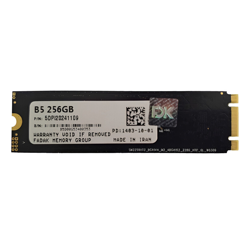 حافظه SSD فدک FDK B5 5DPI20241109 256GB M.2