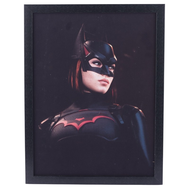تابلو شاسی طرح Batgirl سایز 30*40 سانتی متر