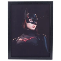 تابلو شاسی طرح Batgirl سایز 30*40 سانتی متر
