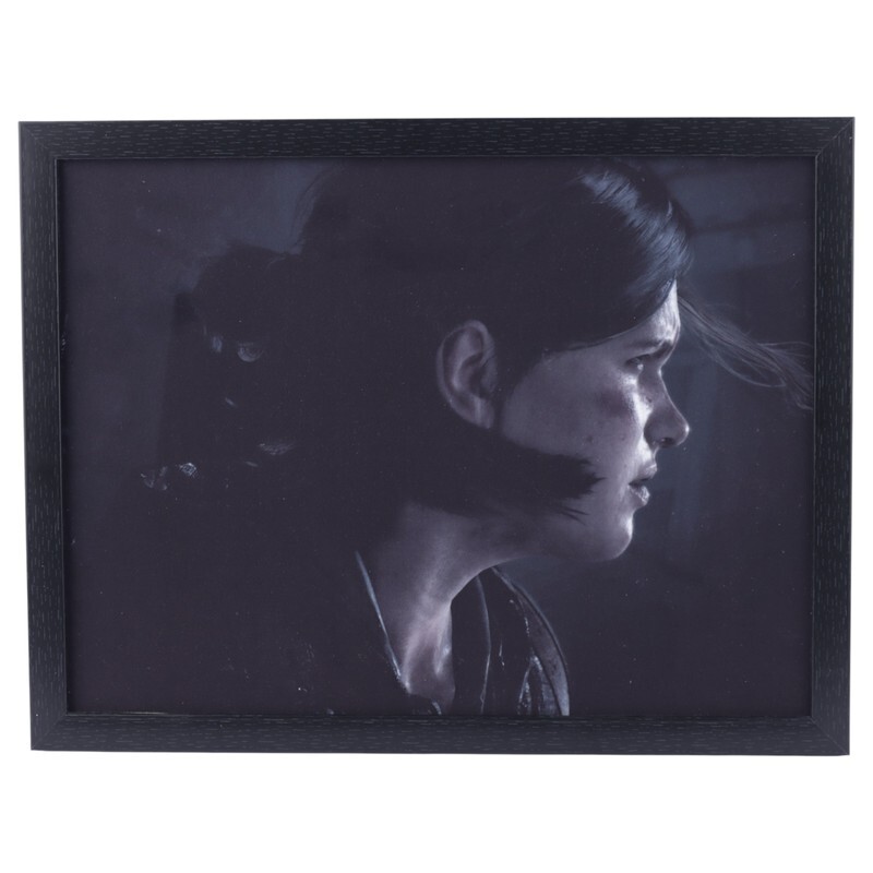 تابلو شاسی طرح The Last of Us سایز 30*40 سانتی متر کد 6