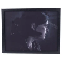 تابلو شاسی طرح The Last of Us سایز 30*40 سانتی متر کد 6
