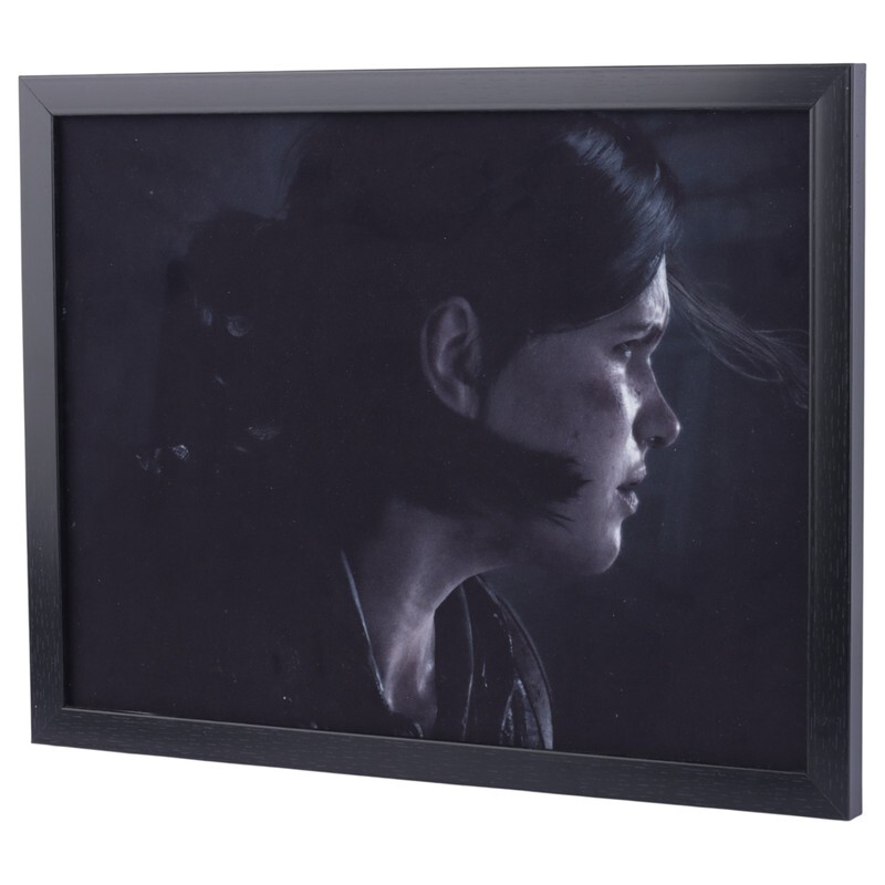 تابلو شاسی طرح The Last of Us سایز 30*40 سانتی متر کد 6