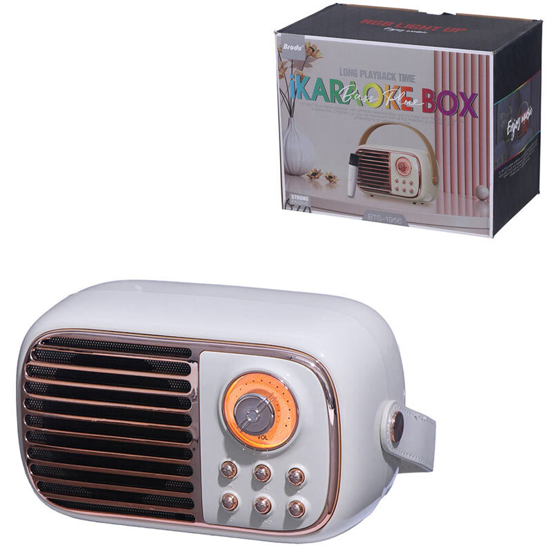 اسپیکر بلوتوثی برودو BTS-1956 + میکروفون