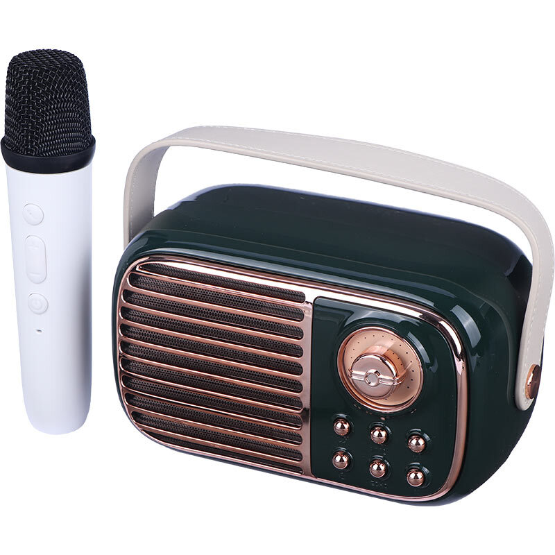 اسپیکر بلوتوثی برودو BTS-1956 + میکروفون