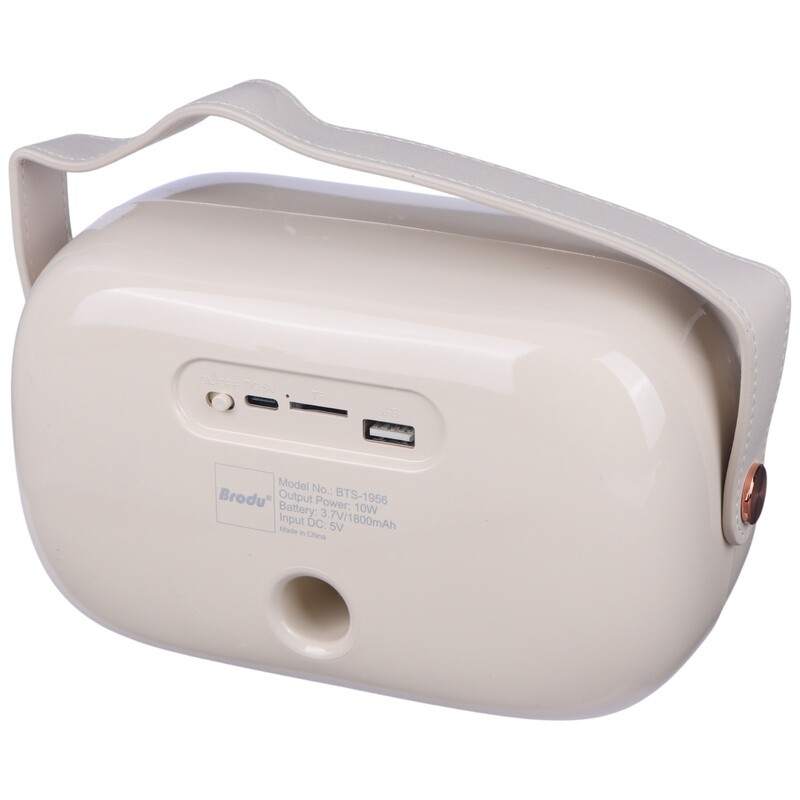 اسپیکر بلوتوثی برودو BTS-1956 + میکروفون