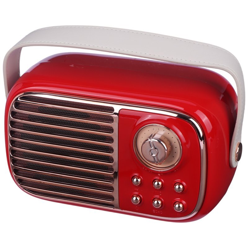 اسپیکر بلوتوثی برودو BTS-1956 + میکروفون