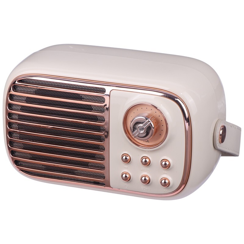 اسپیکر بلوتوثی برودو BTS-1956 + میکروفون