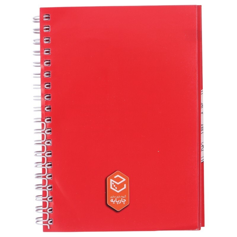 بازی فکری میکرو ماکرو کارآگاهان کوچک چارپایه کد 011388