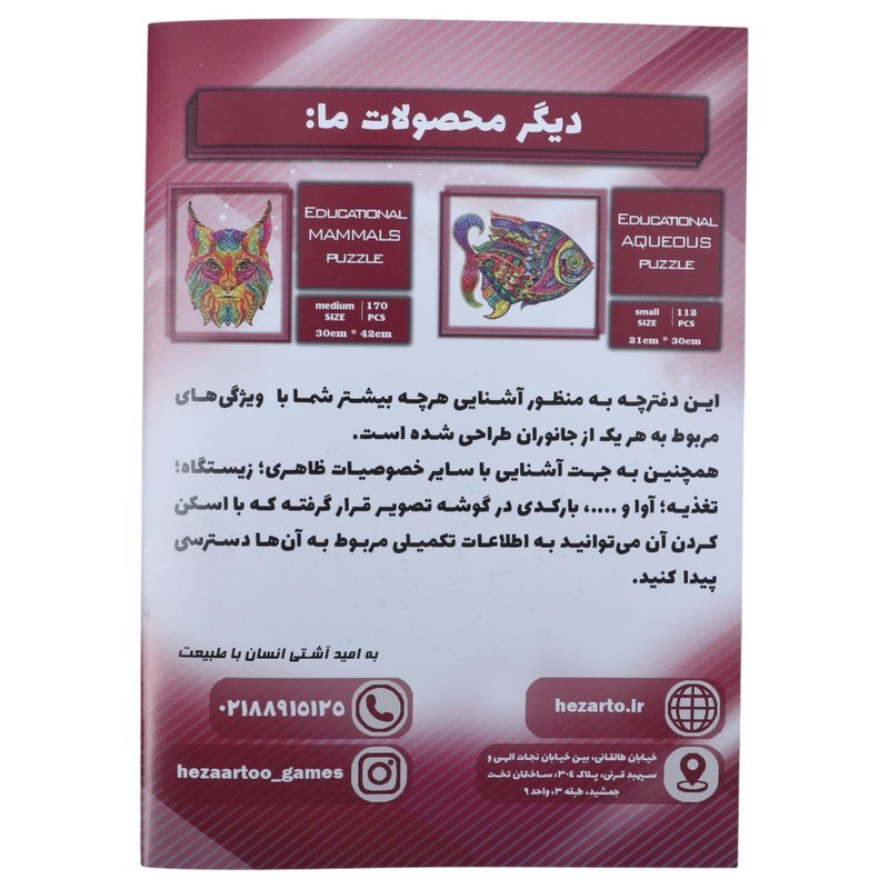 پازل چوبی 130 تکه هزارتو طرح طوطی کد 010993