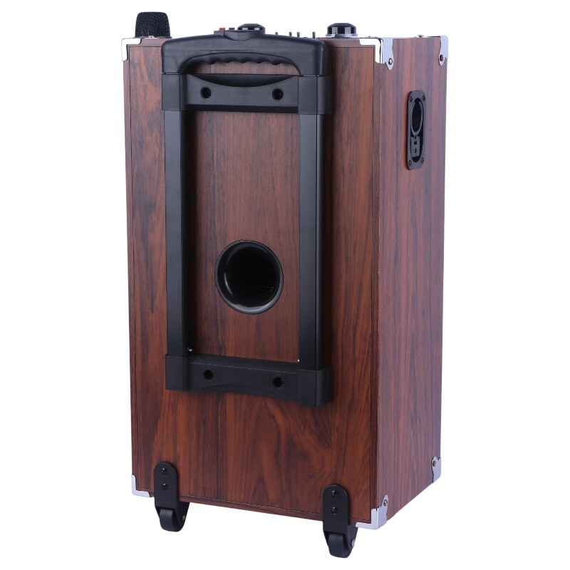 اسپیکر چمدانی بلوتوثی سینگ ای ZQS9802 + میکروفون و ریموت کنترل