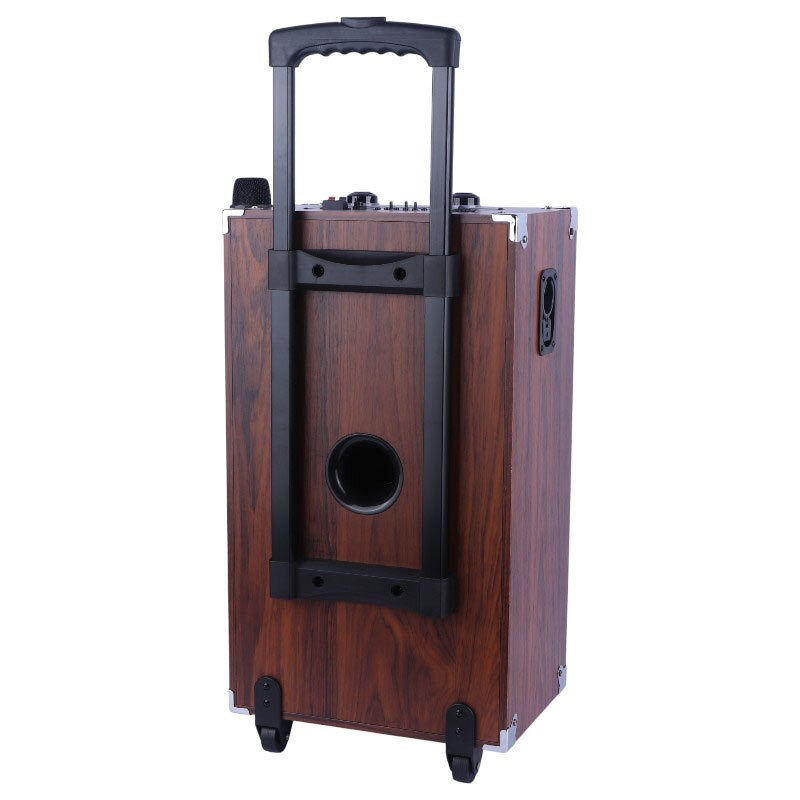 اسپیکر چمدانی بلوتوثی سینگ ای ZQS9802 + میکروفون و ریموت کنترل